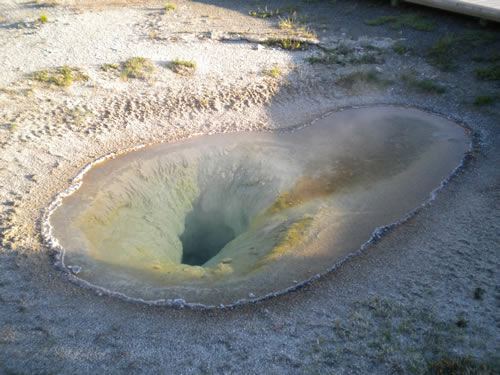 Yellowstone NP